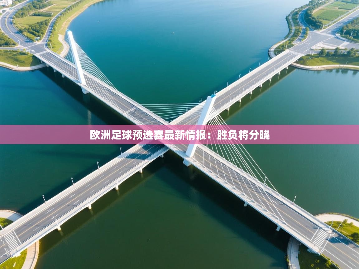 欧洲足球预选赛最新情报:胜负将分晓 第2张