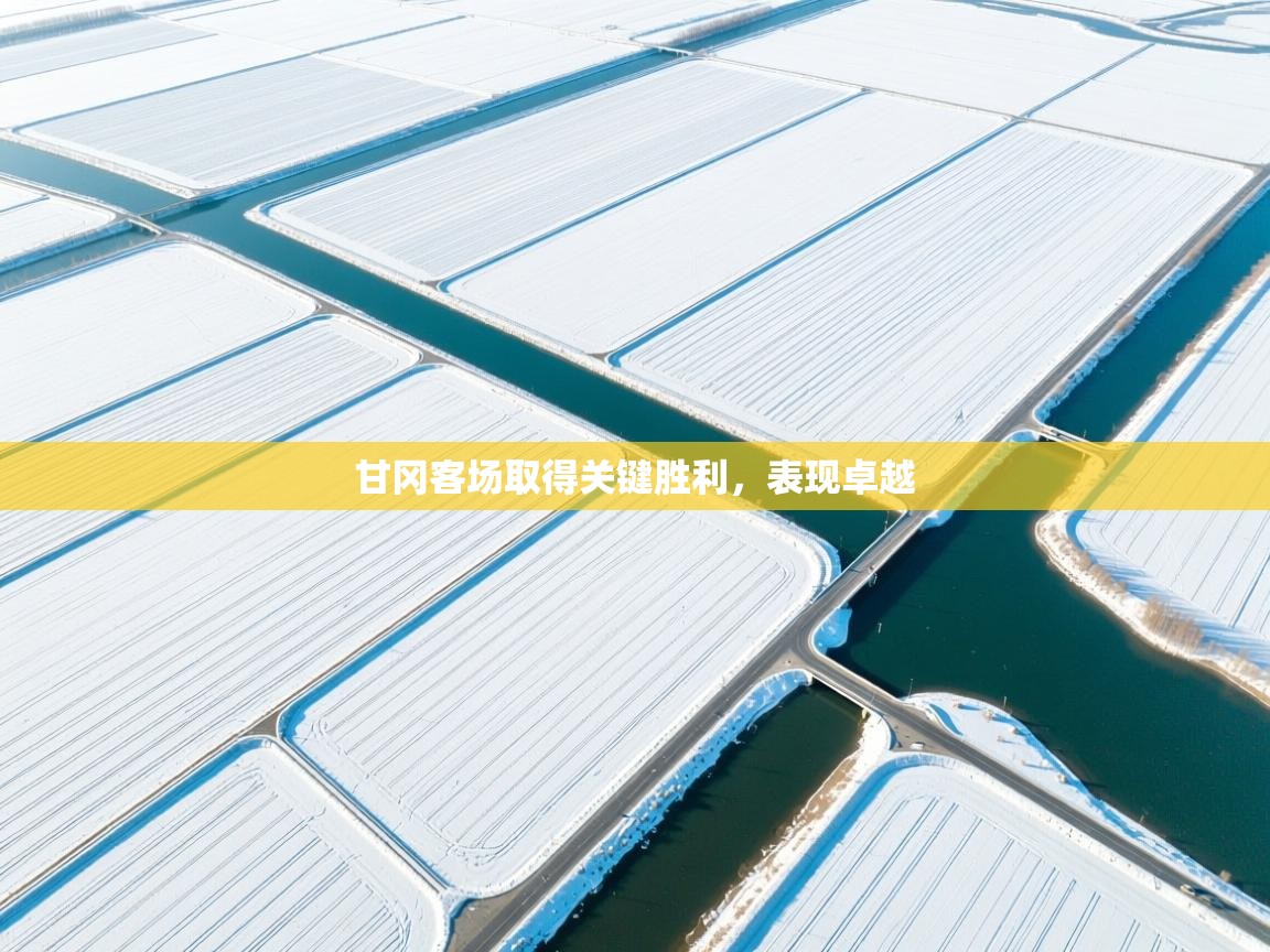 甘冈客场取得关键胜利，表现卓越  第1张